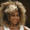 Tina Turner Plastic Surgery Procedures