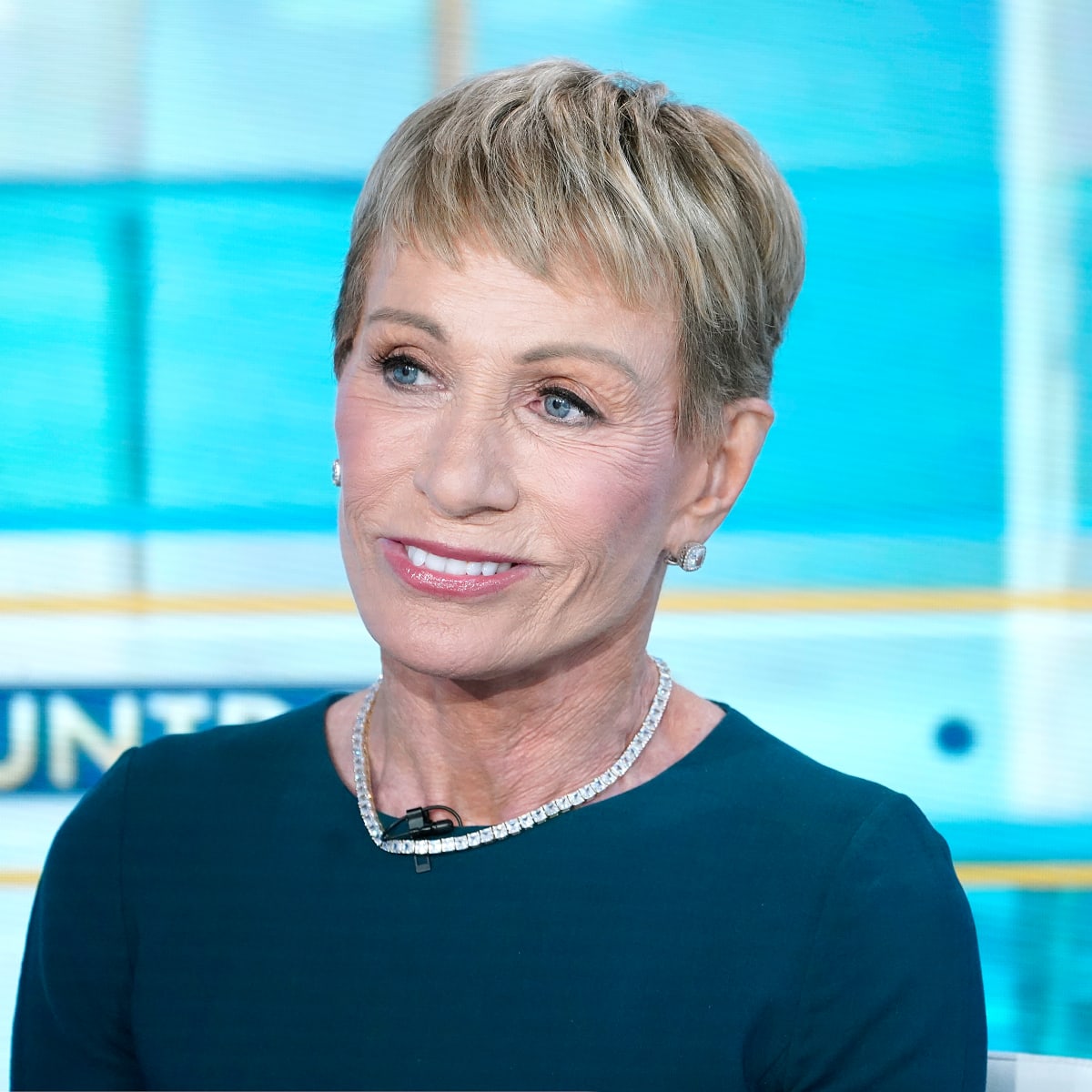 Has Barbara Corcoran Had Plastic Surgery? Plastic Surgery Feed